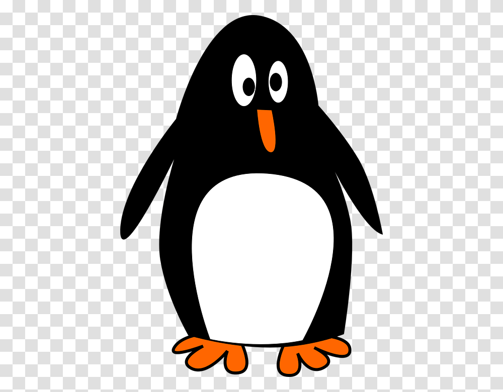 Penguin Clipart Penguin Cartoon Images, Bird, Animal, King Penguin Transparent Png