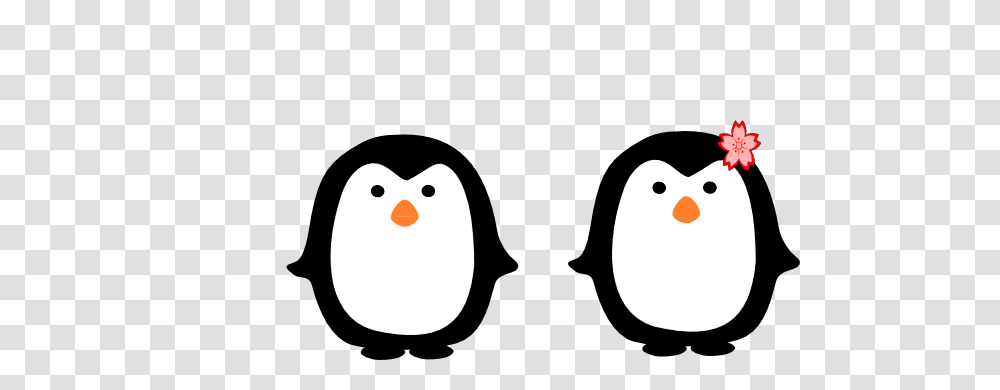 Penguin Clipart, Stencil, Bird, Animal, Giant Panda Transparent Png