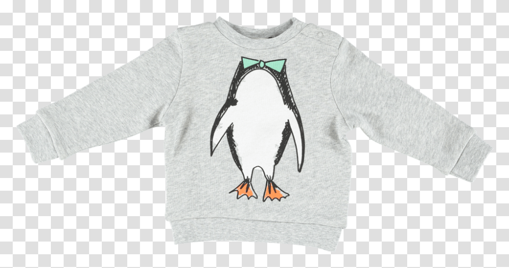 Penguin, Apparel, Bird, Animal Transparent Png