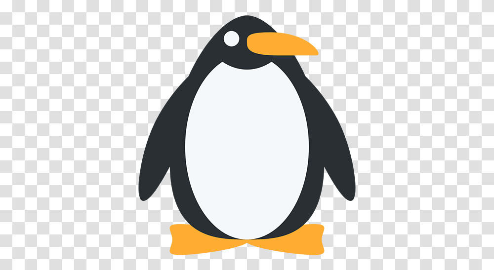 Penguin Discord Penguin Emoji, King Penguin, Bird, Animal Transparent Png