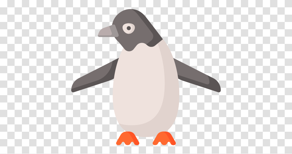 Penguin Dot, Bird, Animal, King Penguin Transparent Png