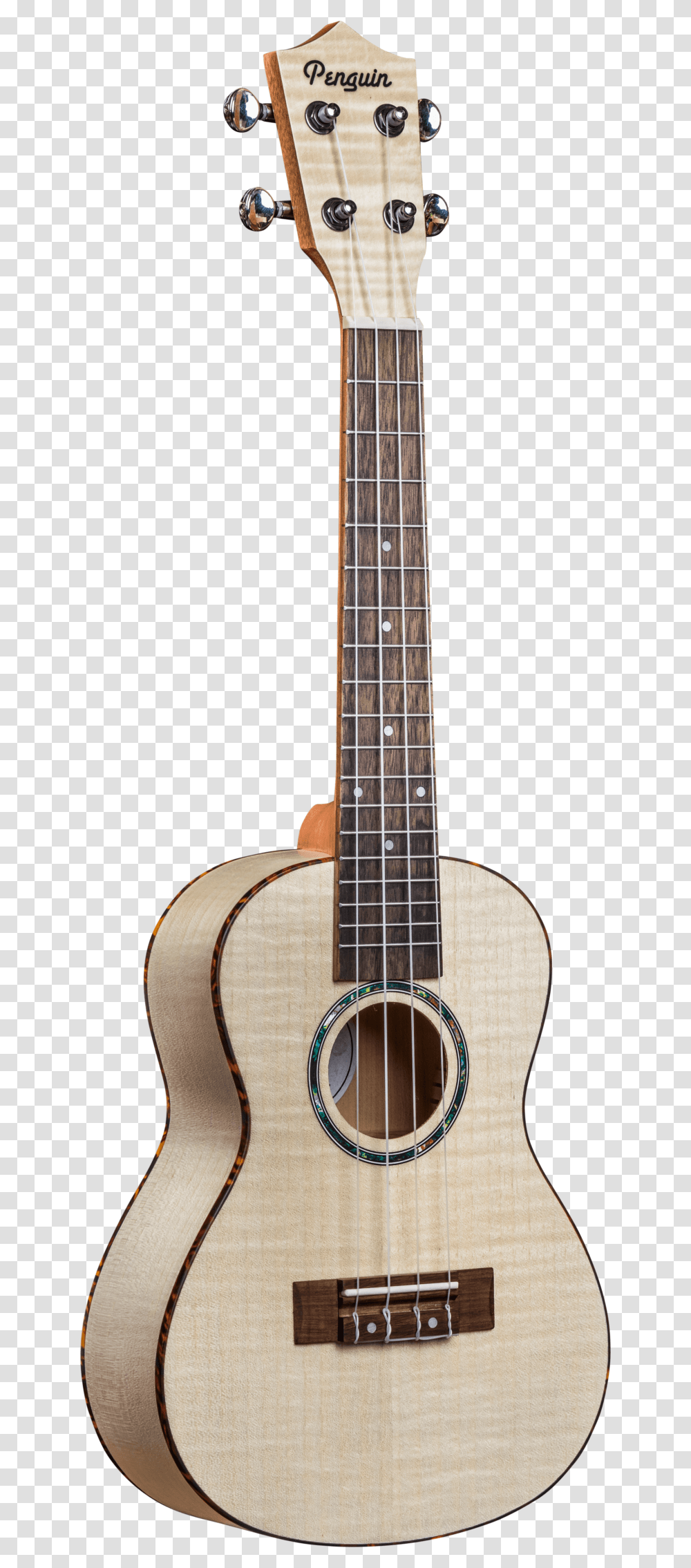Penguin Flamed Maple, Guitar, Leisure Activities, Musical Instrument, Bass Guitar Transparent Png