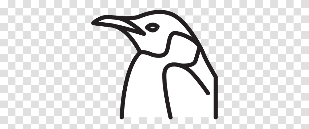 Penguin Free Icon Of Selman Icons Dot, Bird, Animal, Jay, Beak Transparent Png