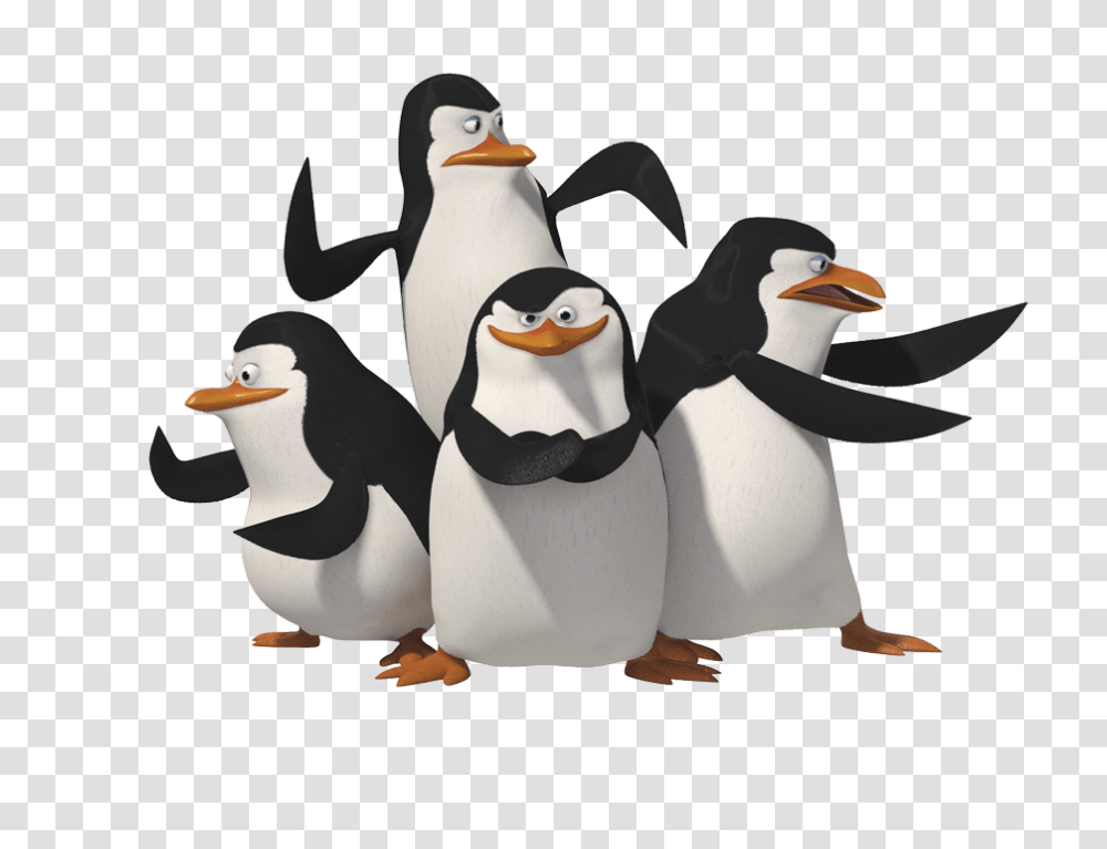 Penguin Group, Bird, Animal, King Penguin Transparent Png