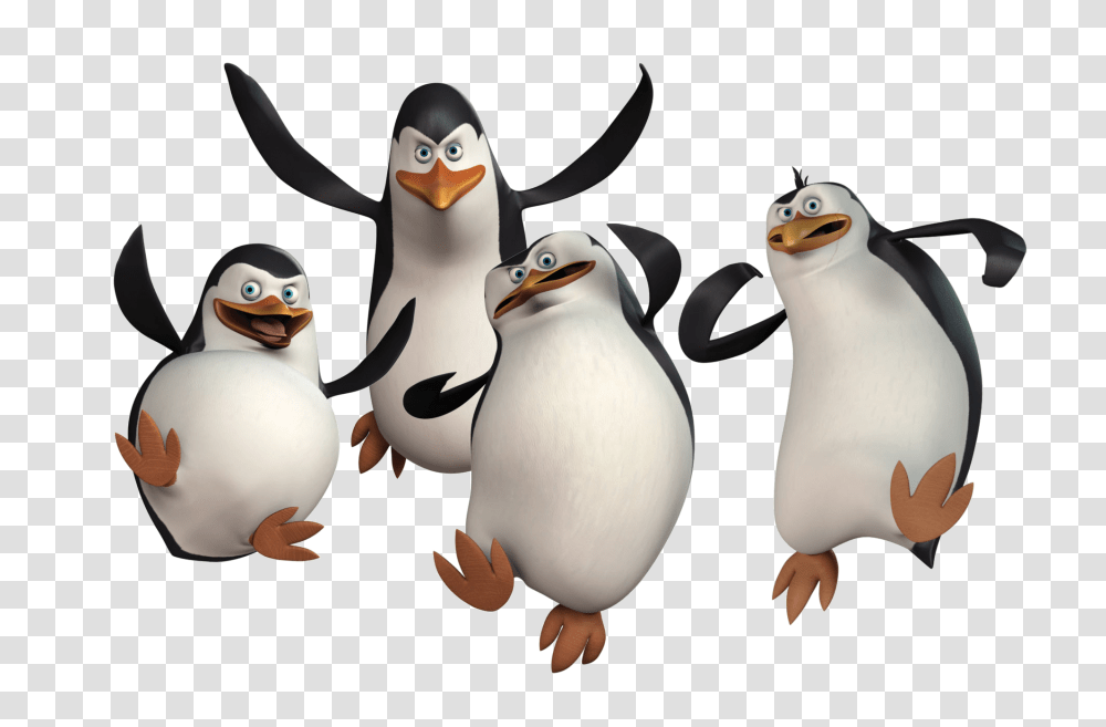 Penguin Image Download Clipart, Bird, Animal, King Penguin Transparent Png