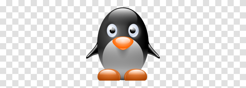 Penguin Images Icon Cliparts, Bird, Animal, King Penguin Transparent Png