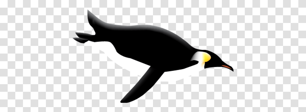 Penguin Images Penguin Diving Background, Silhouette, Animal, Sea Life, Mammal Transparent Png