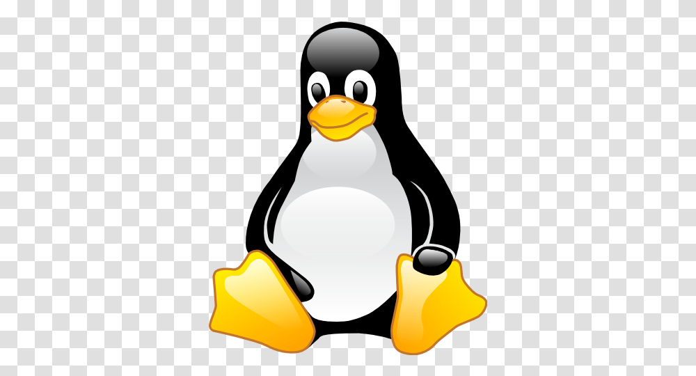 Penguin Linux Cartoon Mascot Of Tux Paint, Snowman, Winter, Outdoors, Nature Transparent Png