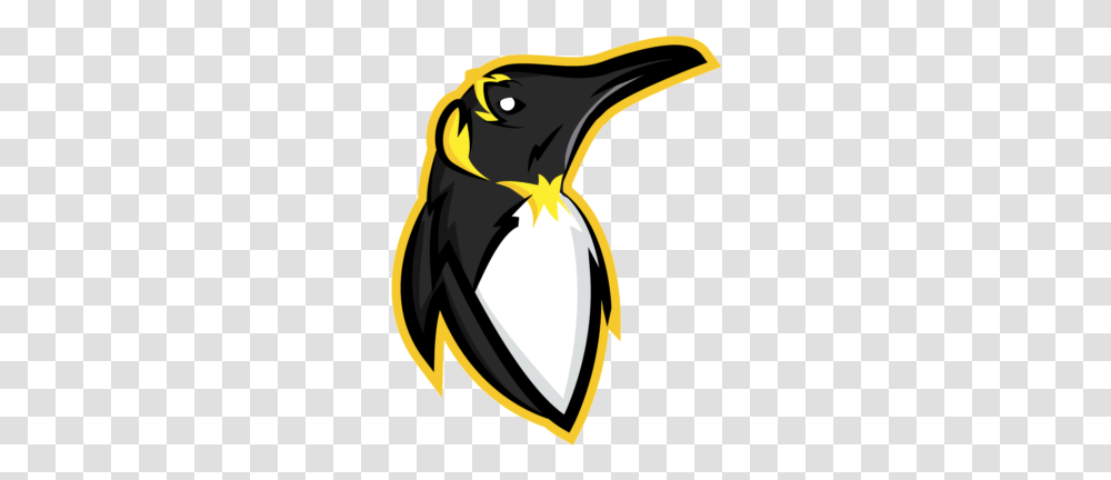 Penguin Logo Mascot Design Graphic Penguin, King Penguin, Bird, Animal Transparent Png