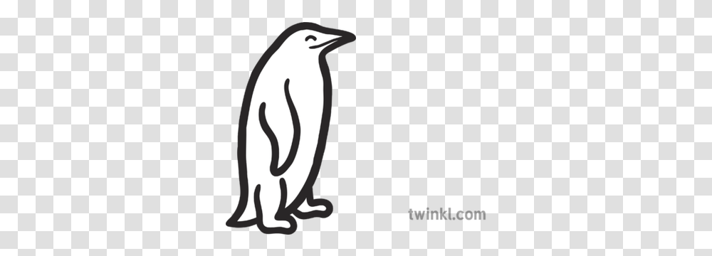 Penguin Map Icon Antarctic Bird Penguin, Animal, King Penguin Transparent Png
