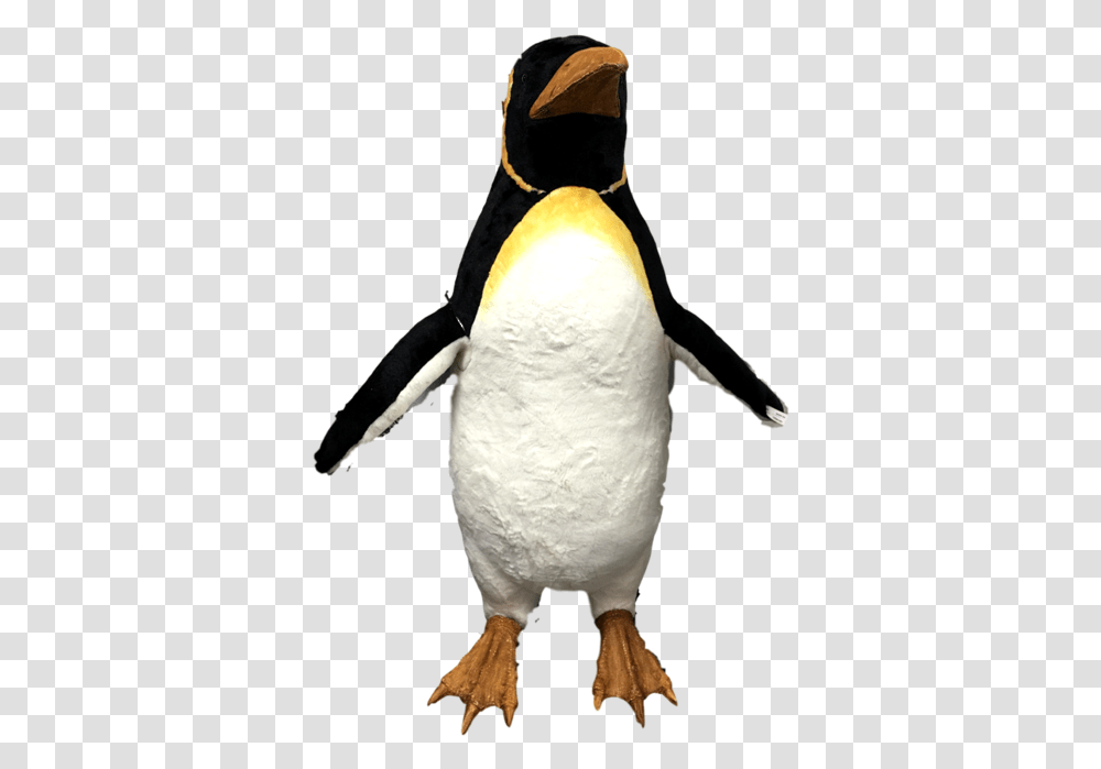 Penguin Moving, Bird, Animal, King Penguin Transparent Png