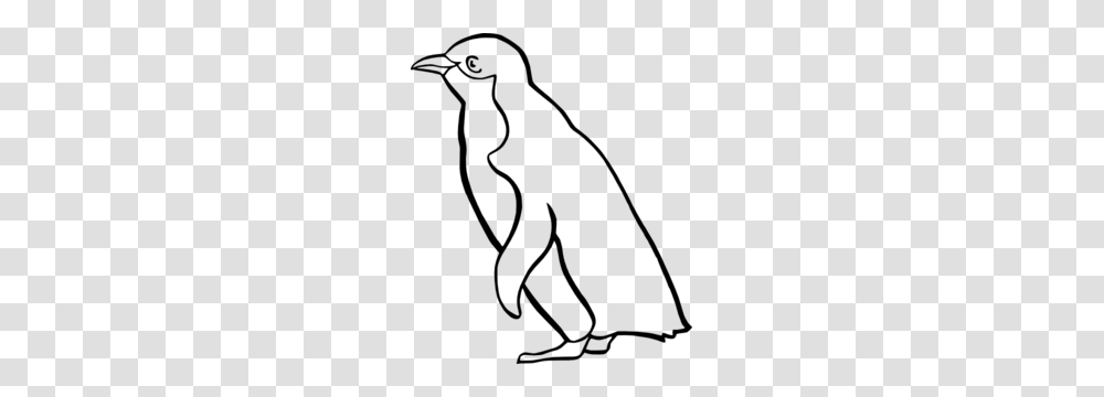 Penguin Outline Clip Art, Gray, World Of Warcraft Transparent Png