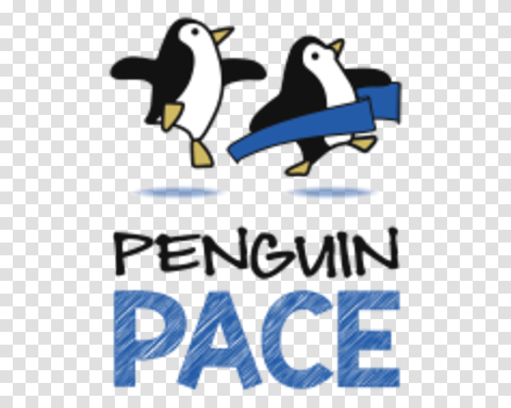 Penguin Pace Wayne Nj Logo Bykino, Bird, Animal, Mammal Transparent Png