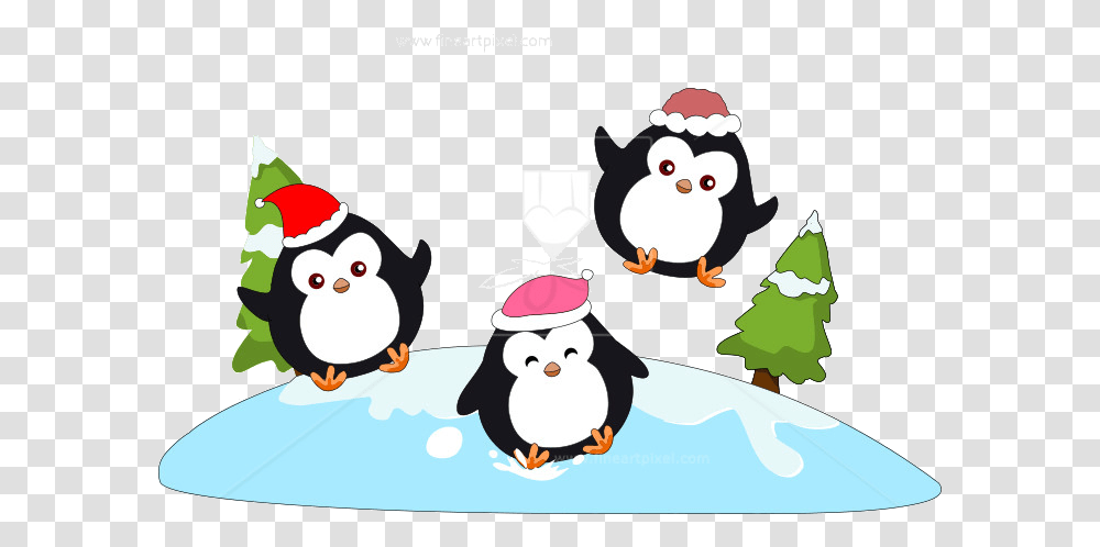 Penguin Penguins Clip Art Free Vectors Illustrations Cartoon, Giant Panda, Animal, Outdoors, Nature Transparent Png