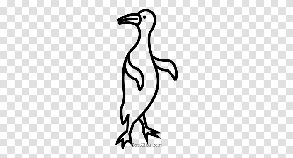 Penguin Royalty Free Vector Clip Art Illustration, Animal, Bird Transparent Png