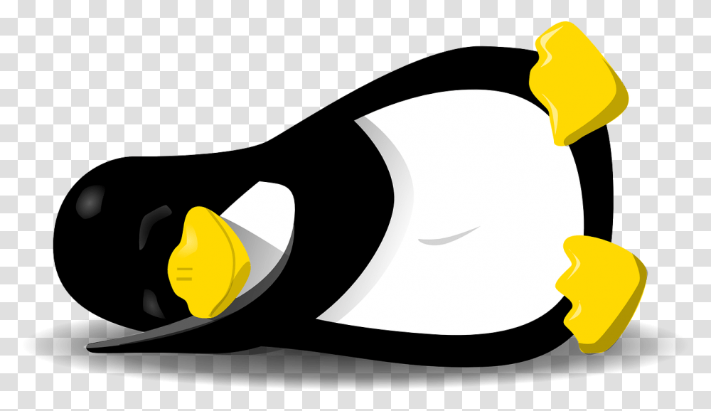 Penguin Sleeping, Axe, Light, Animal, Photography Transparent Png