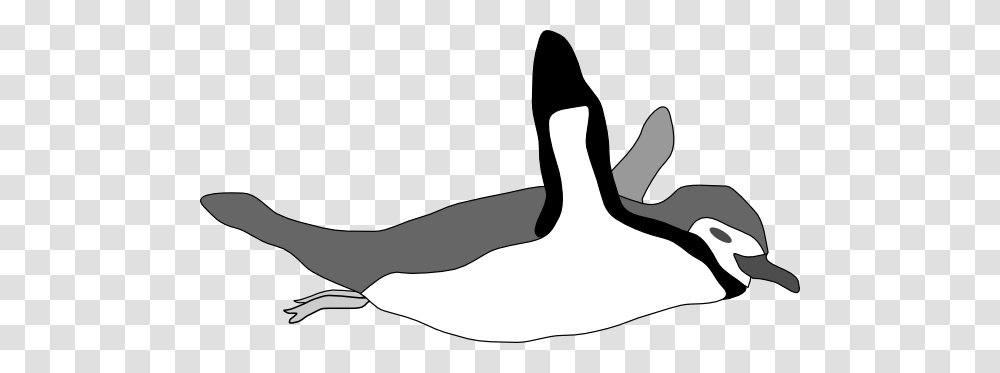 Penguin Swim Clip Art, Animal, Orca, Mammal, Sea Life Transparent Png