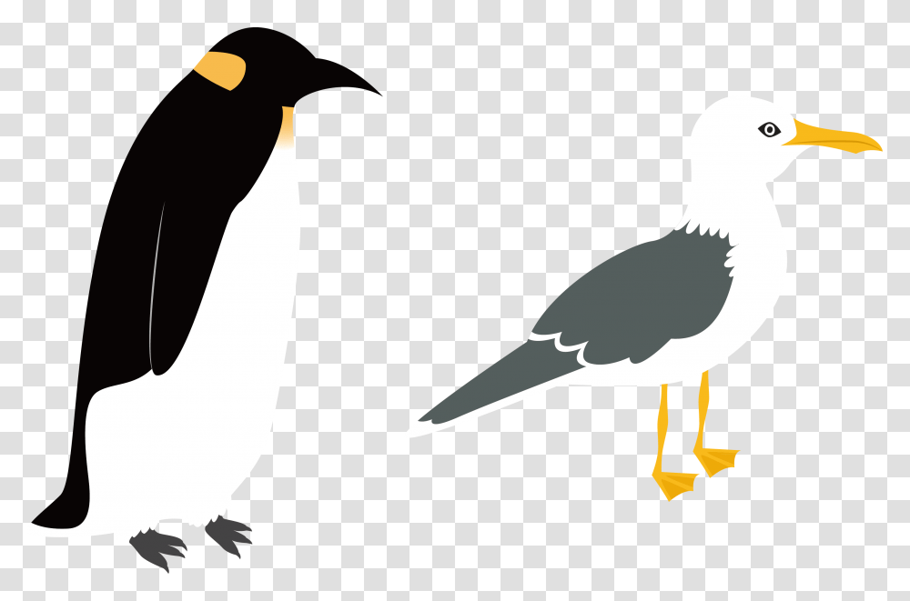 Penguin Vector Intermediate Egret Flat Illustration, Bird, Animal, Blackbird, Agelaius Transparent Png