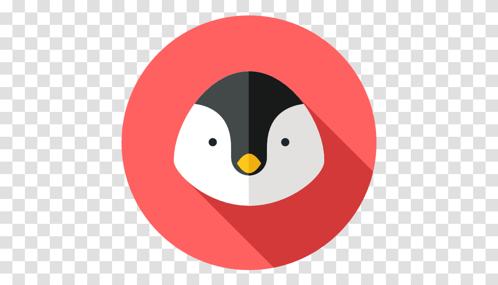 Penguin Zoo Animals Animal Kingdom Wild Life Icon Pinguim Icon, Bird, Snowman, Winter, Outdoors Transparent Png