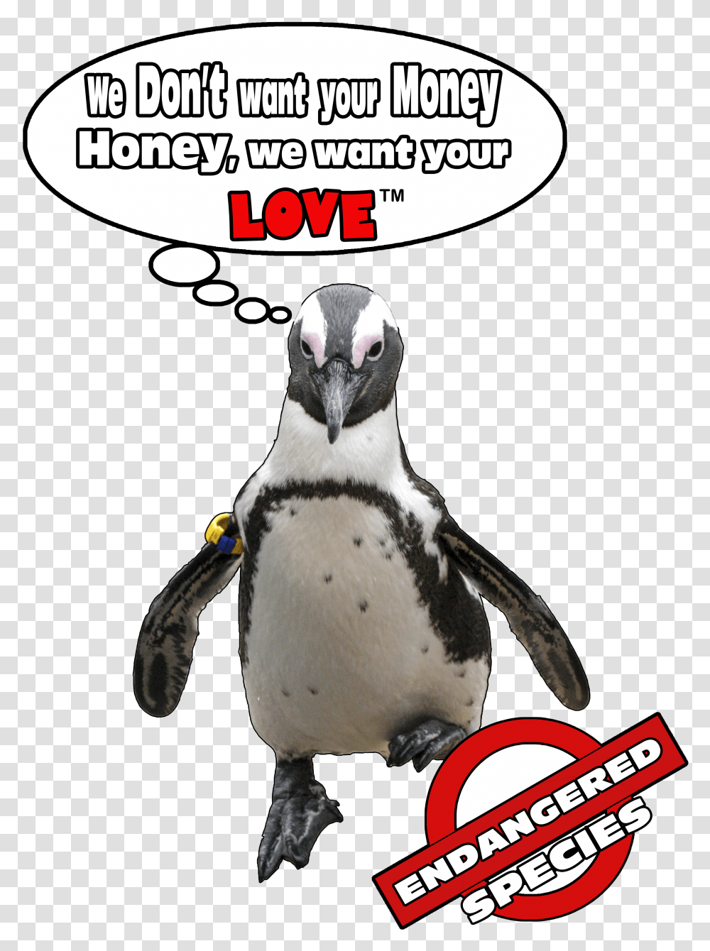 Penguinpromises Penguin Promise Transparent Png