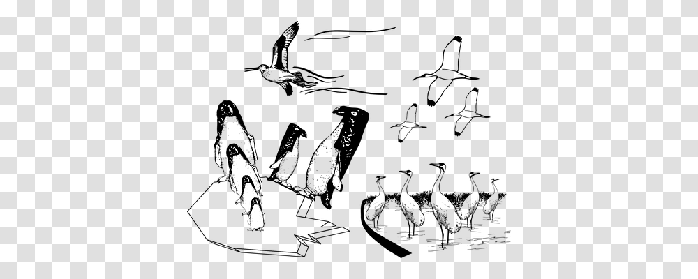 Penguins Animals, Musician, Musical Instrument, Guitarist Transparent Png