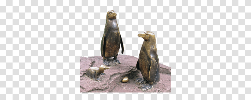 Penguins Architecture, Animal, Bird, Turtle Transparent Png