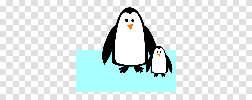 Penguins Animals, Bird, King Penguin Transparent Png
