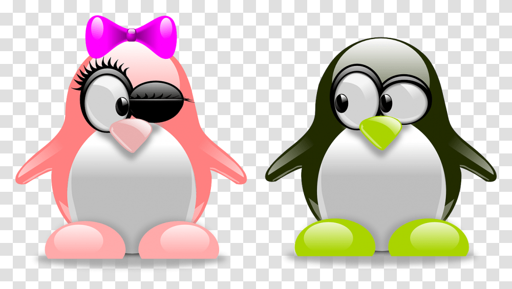 Penguins Art Amorous Tux Penguin In Love, Bird, Animal, King Penguin Transparent Png