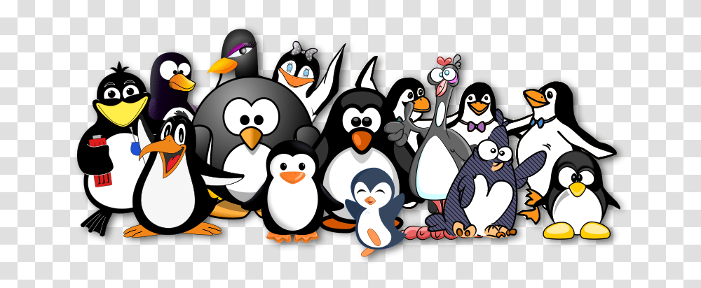 Penguins Like Ocal, Animals, Bird, King Penguin Transparent Png