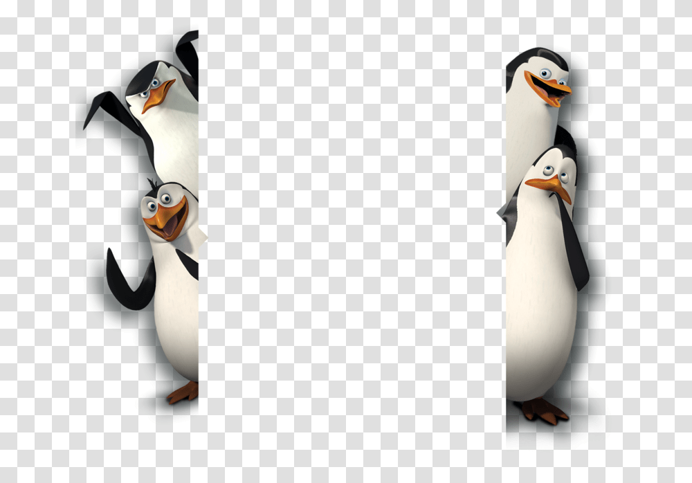 Penguins Of Madagascar Background, Bird, Animal, Beak, King Penguin Transparent Png