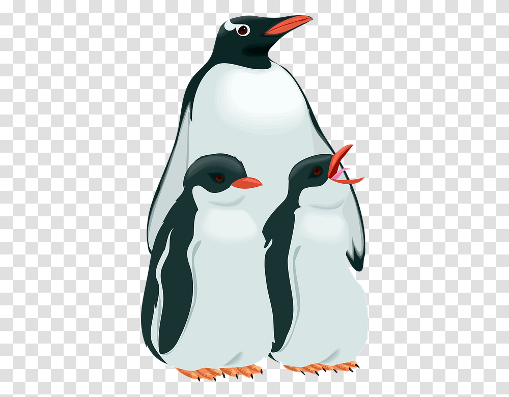 Penguins Penguin Family Clipart, King Penguin, Bird, Animal, Snowman Transparent Png