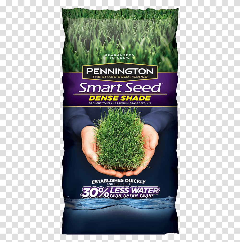 Pennington Shade Grass Seed, Bush, Vegetation, Plant, Seasoning Transparent Png