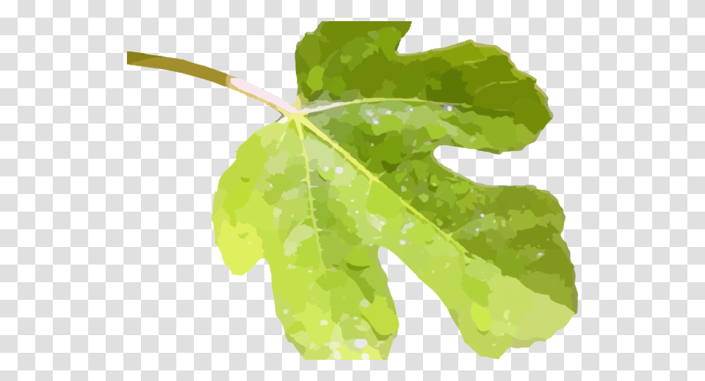 Pennsylvania Clipart, Leaf, Plant, Tree, Maple Leaf Transparent Png