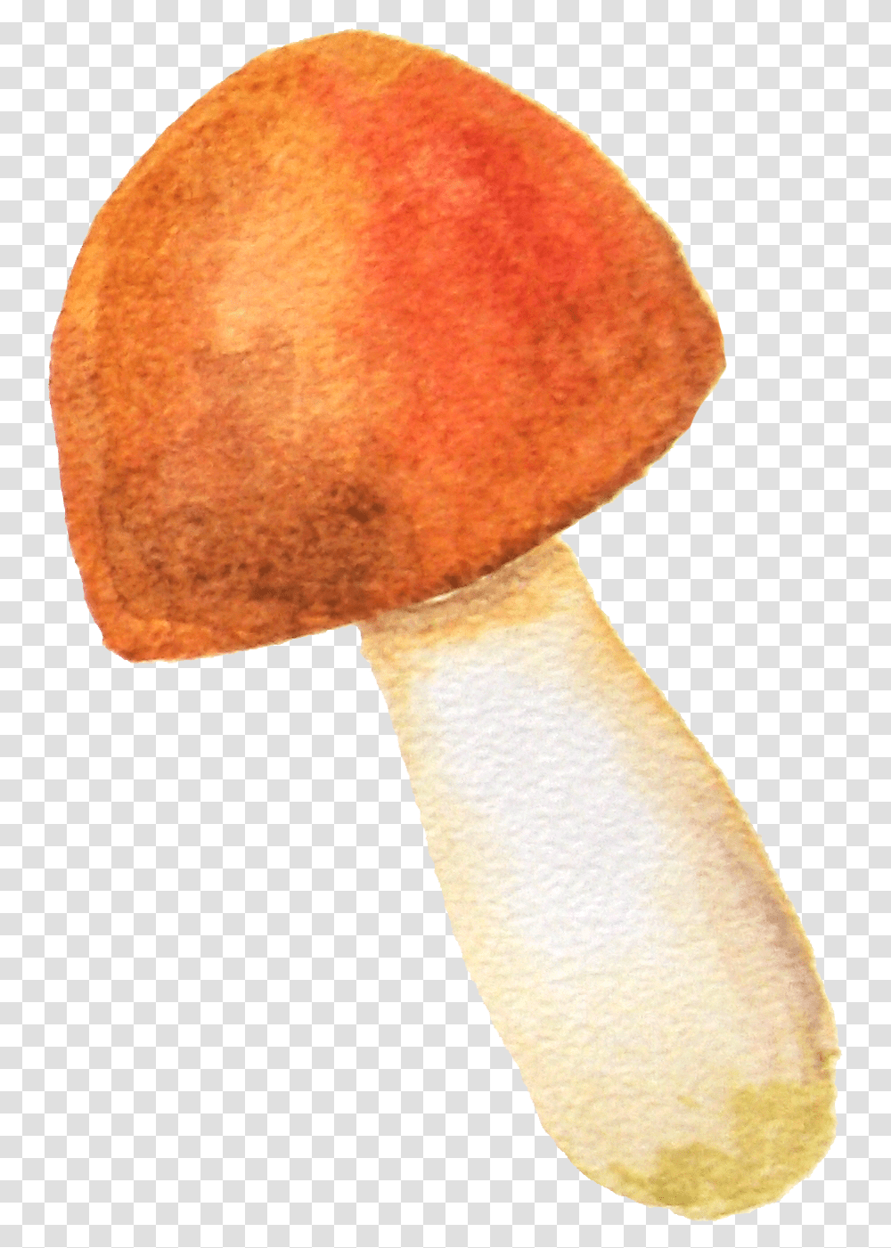 Penny Bun, Plant, Agaric, Mushroom, Fungus Transparent Png