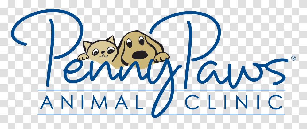 Penny Paws, Handwriting, Word, Mammal Transparent Png