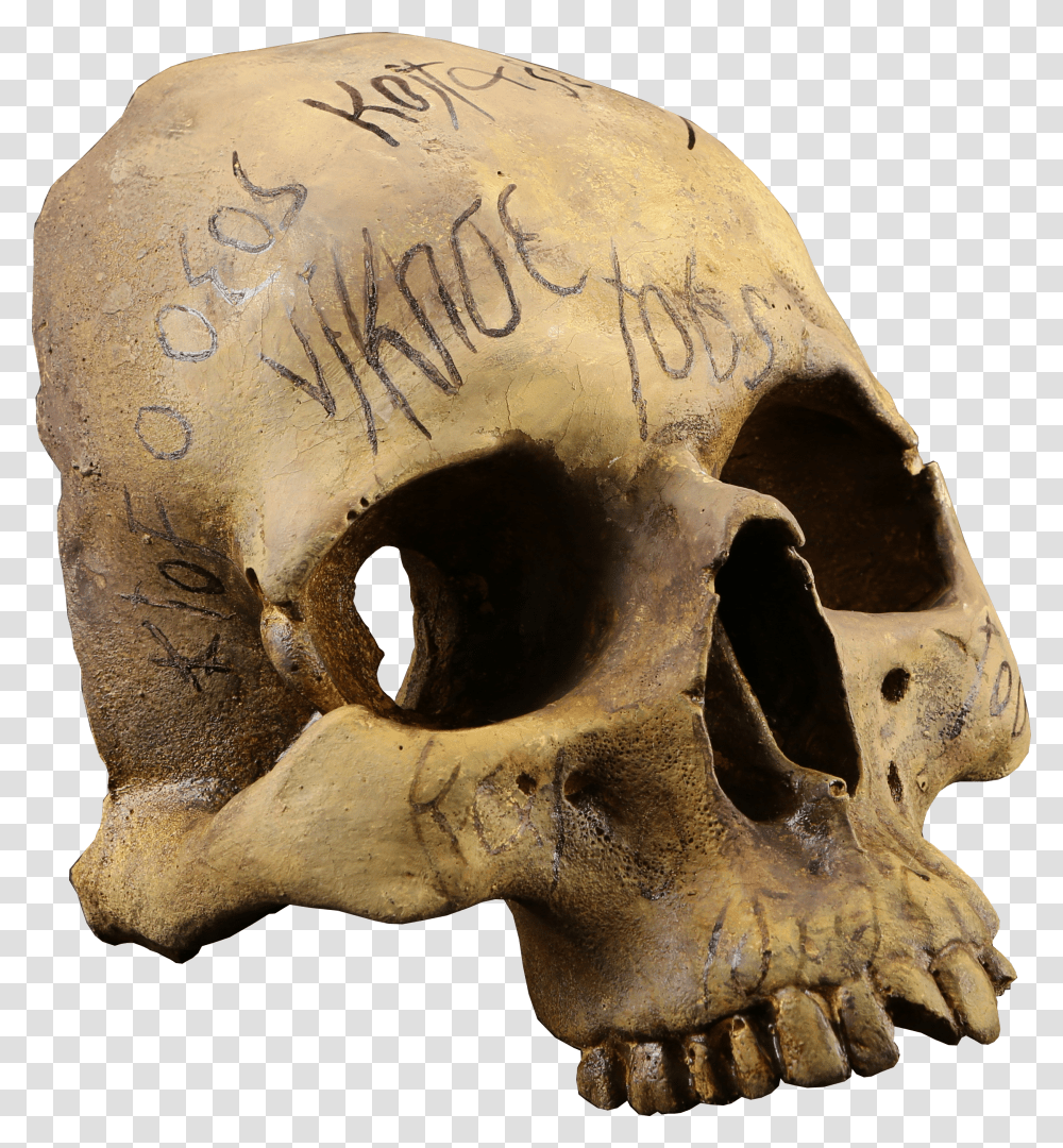 Pennydreadful Auction Halloween Spooky Horror Skull Transparent Png