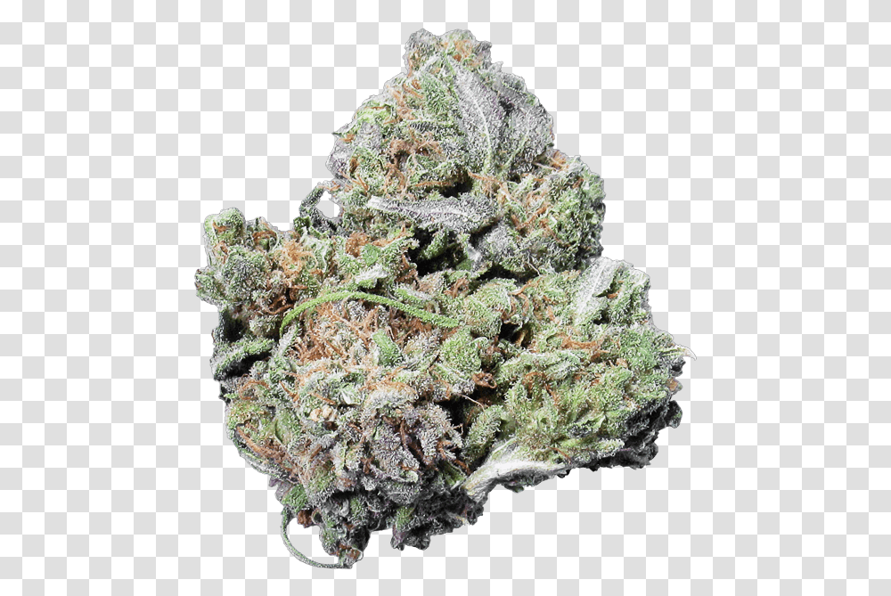 Pennywise Cbd Yellow Fir, Plant, Weed, Grass, Mineral Transparent Png