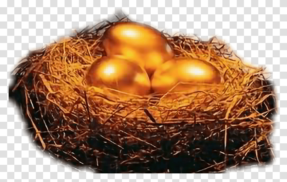 Pension, Nest, Bird Nest, Gold, Food Transparent Png