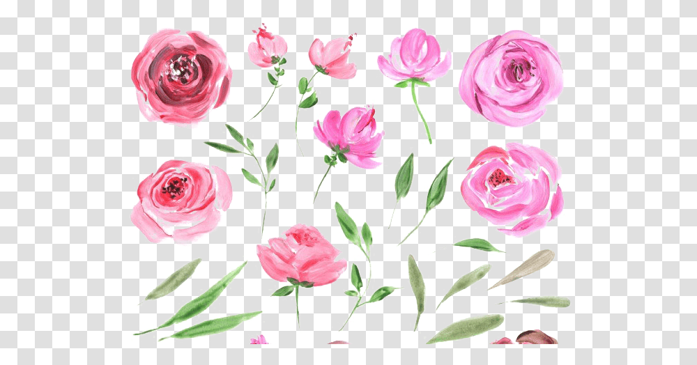 Peonies Free Image Water Color Rose, Floral Design, Pattern Transparent Png
