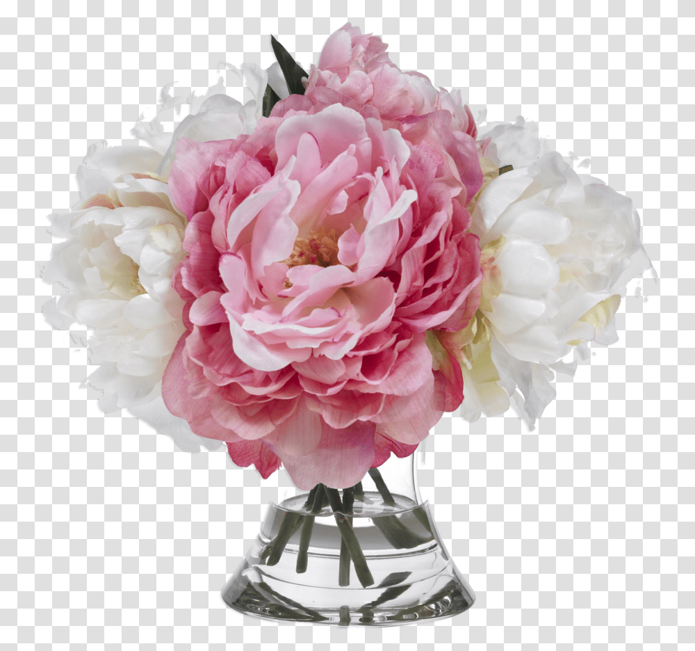 Peonies Pink And White, Plant, Flower, Blossom, Carnation Transparent Png