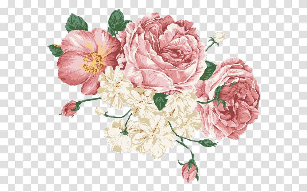 Peonies Vector Pink Flower Drawing, Floral Design, Pattern Transparent Png