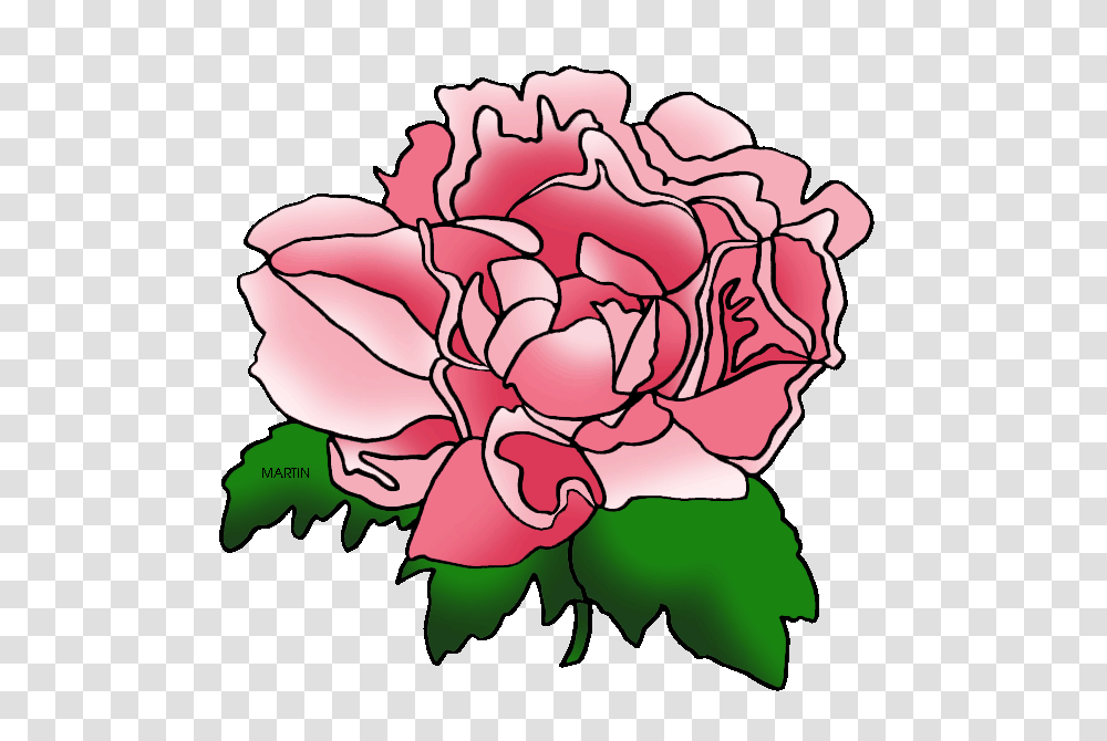 Peony Clipart Indiana, Plant, Flower, Blossom, Carnation Transparent Png