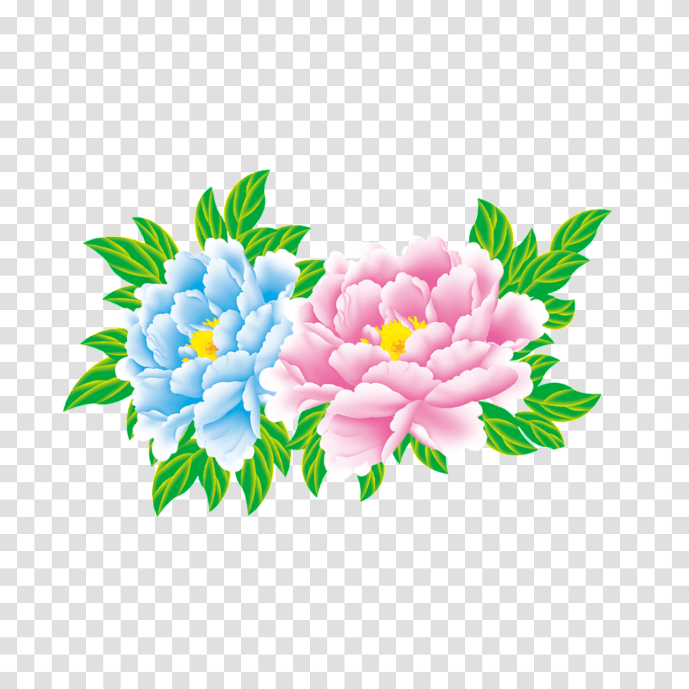 Peony Flower Free Download Vector, Floral Design, Pattern Transparent Png