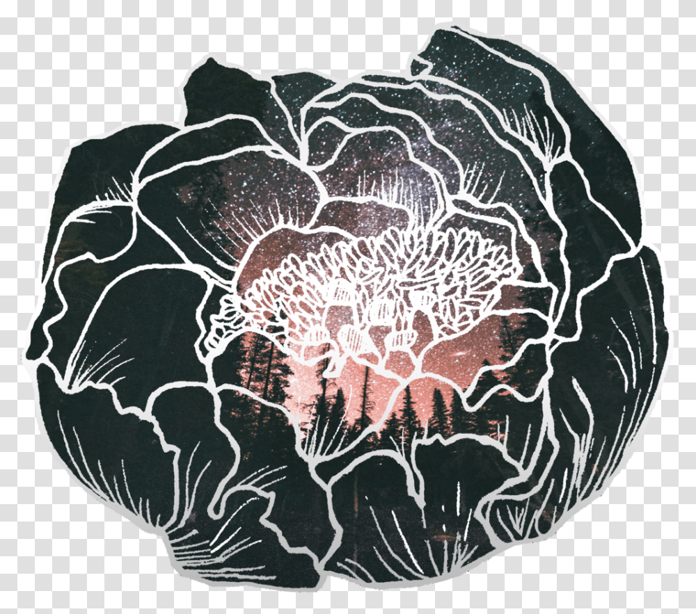 Peony Forest Sunset Sticker Datura Inoxia, Rug, Cushion, Furniture, Nature Transparent Png