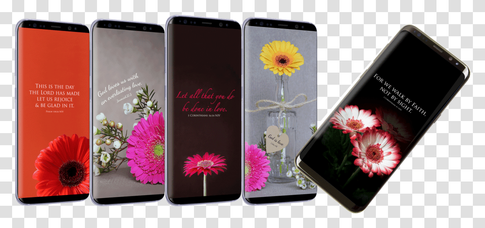 Peony, Mobile Phone, Electronics, Plant, Flower Transparent Png