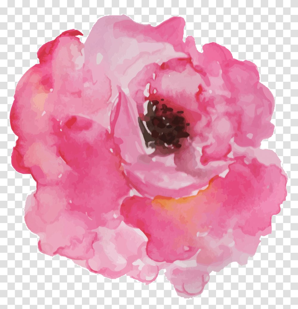 Peony, Rose, Flower, Plant, Mineral Transparent Png