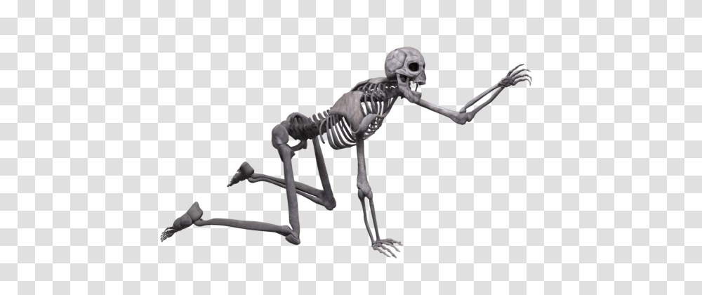 Peopl Skeleton, Person, Human Transparent Png