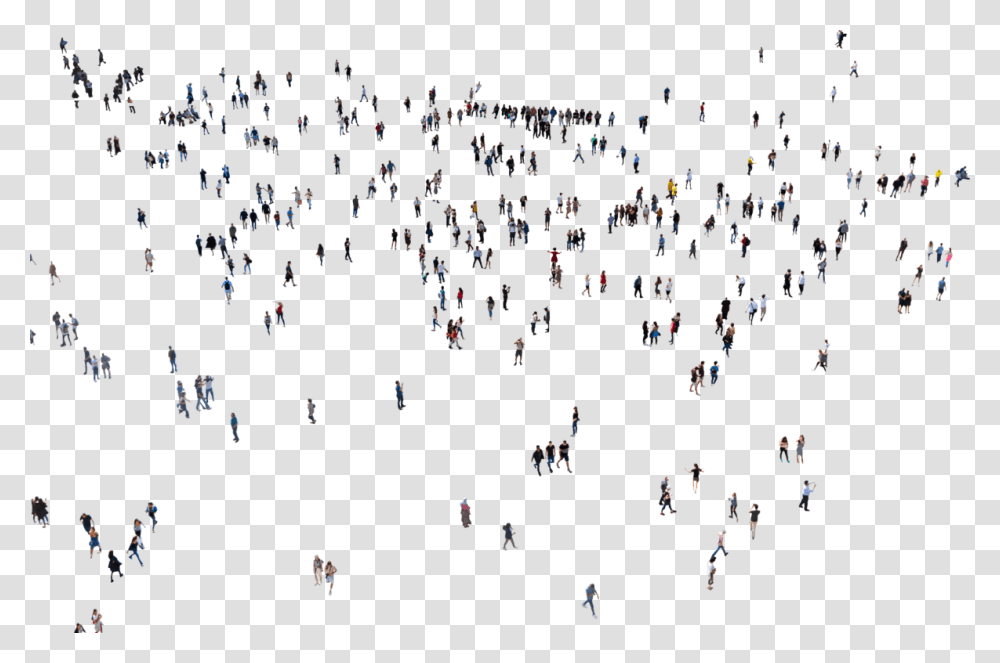 People Aerial, Person, Bird, Crowd, Paper Transparent Png