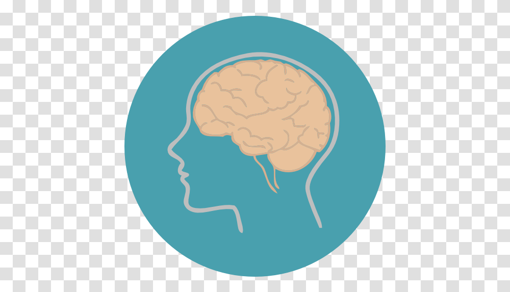 People Medical Brain Body Part Biology Brain Icon, Cauliflower, Vegetable, Plant, Food Transparent Png