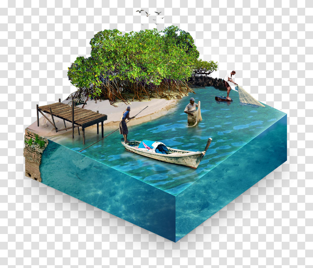 People Swimming Mangroves, Water, Person, Pool, Hotel Transparent Png